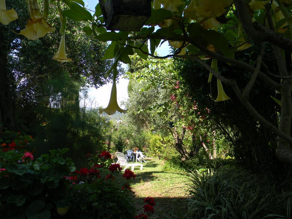 Villa Efterpi Kontokali Exterior foto