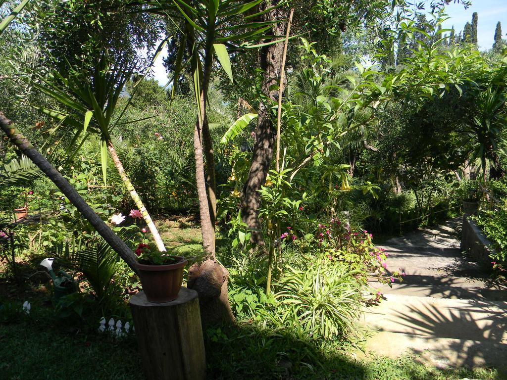 Villa Efterpi Kontokali Exterior foto